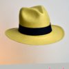 Panama-sombrero-e01