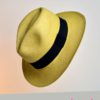 Sombrero Panamá color